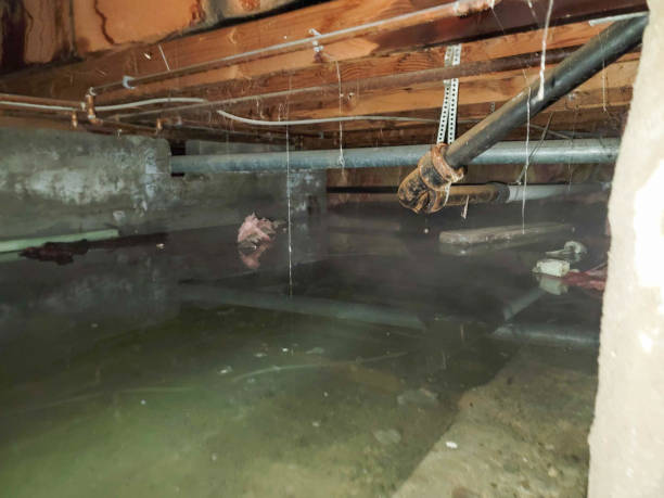  Waverly, IA Water damage restoration Pros