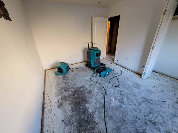 Best Flood restoration services  in Waverly, IA
