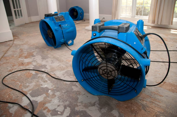 Best Local water damage restoration  in Waverly, IA